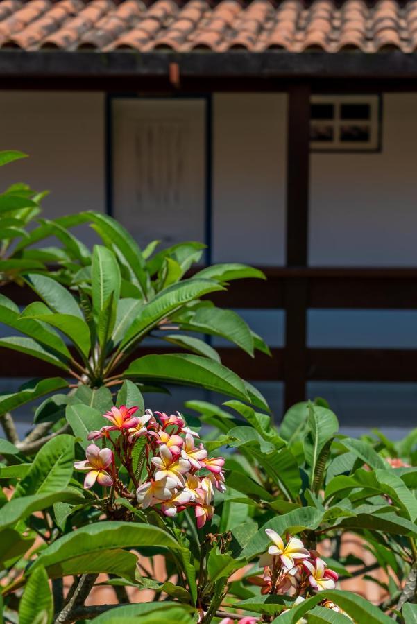 Villa Alexandre Pousada - Trancoso Eksteriør billede
